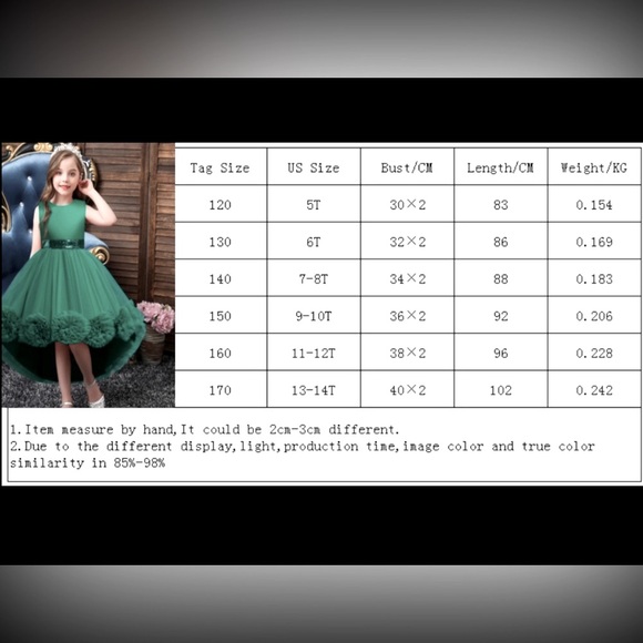 Pageant Girls Elegant Cute Mesh Flower Embroidery Princess Dress - Picture 8 of 8